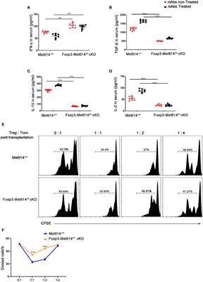 Corrigendum: Mettl14-mediated m6A modification enhances the function of Foxp3+ regulatory T cells and promotes allograft acceptance